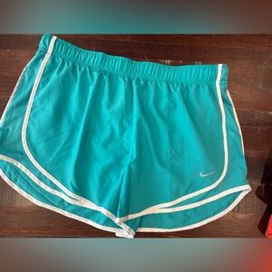 Nike Women's Teal and White Shorts